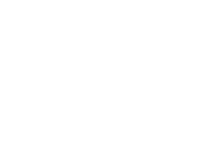 Buffalo clip art